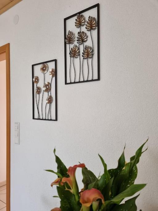 Ferienwohnung Seeblick ฟุลเลนดอร์ฟ ภายนอก รูปภาพ
