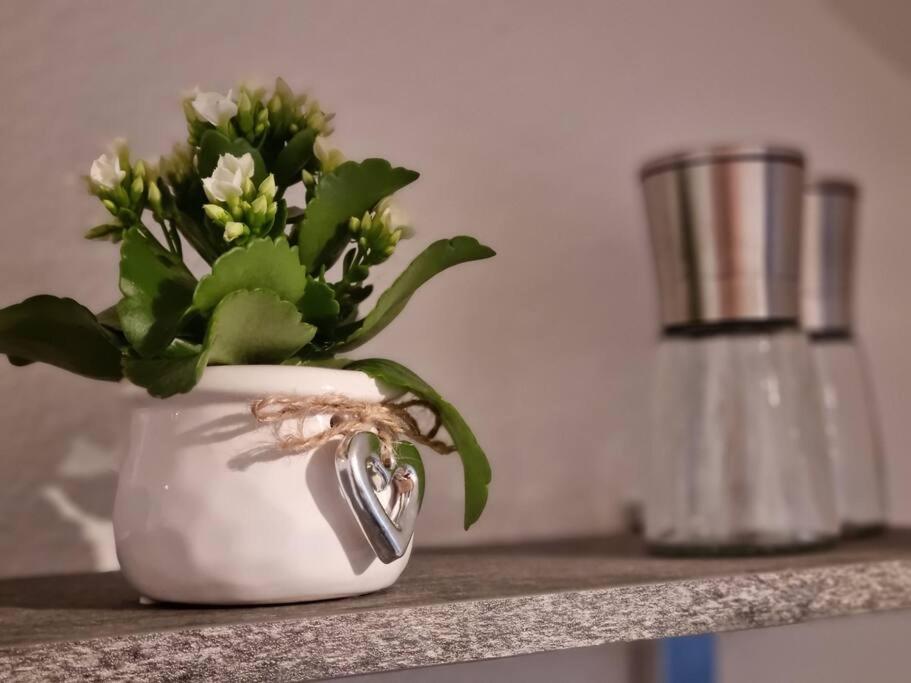 Ferienwohnung Seeblick ฟุลเลนดอร์ฟ ภายนอก รูปภาพ